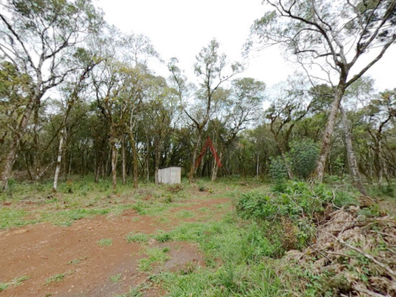 Imagem Fazenda à Venda, 20.000 m² em Jordão - Guarapuava Imagem Fazenda à Venda, 20.000 m² em Jordão - Guarapuava