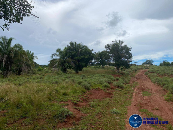 Imagem Fazenda à Venda, 214 m² em Zona Rural - Israelândia Imagem Fazenda à Venda, 214 m² em Zona Rural - Israelândia