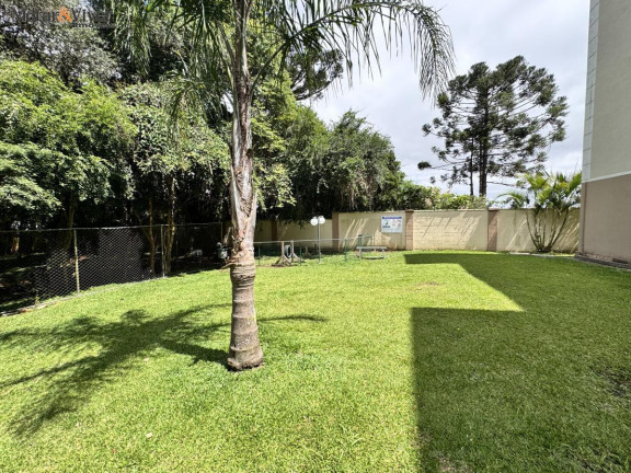 Imagem Apartamento com 2 Quartos à Venda, 47 m² em Boneca Do Iguaçu - São José Dos Pinhais Imagem Apartamento com 2 Quartos à Venda, 47 m² em Boneca Do Iguaçu - São José Dos Pinhais