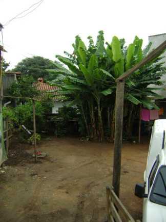 Imagem Chácara com 3 Quartos à Venda, 330 m² em Terra Preta - Mairiporã Imagem Chácara com 3 Quartos à Venda, 330 m² em Terra Preta - Mairiporã