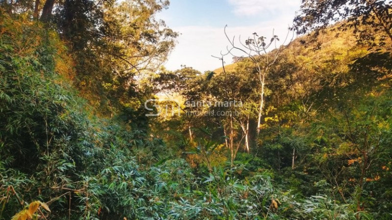 Imagem Imóvel à Venda, 1 m² em Bairro Da Tabuleta - Piquete Imagem Imóvel à Venda, 1 m² em Bairro Da Tabuleta - Piquete
