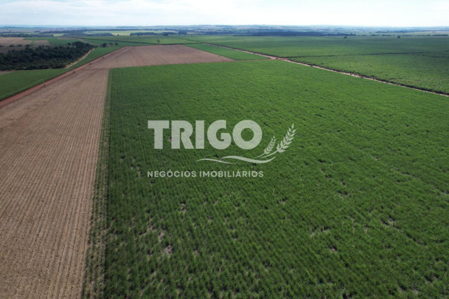 Imagem Fazenda à Venda, 115 m² em Zona Rural - Quirinópolis Imagem Fazenda à Venda, 115 m² em Zona Rural - Quirinópolis