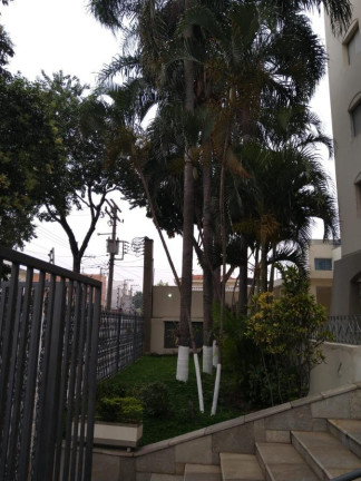 Imagem Cobertura com 4 Quartos à Venda, 140 m² em Vila Matilde - São Paulo Imagem Cobertura com 4 Quartos à Venda, 140 m² em Vila Matilde - São Paulo