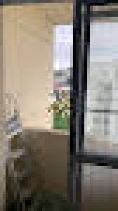 Imagem Apartamento com 2 Quartos à Venda, 55 m² em Demarchi - São Bernardo Do Campo Imagem Apartamento com 2 Quartos à Venda, 55 m² em Demarchi - São Bernardo Do Campo