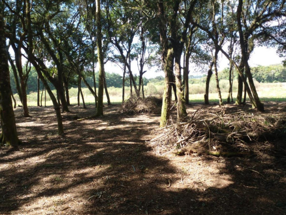 Imagem Terreno à Venda, 20.000 m² em Campo Largo Da Roseira - São José Dos Pinhais Imagem Terreno à Venda, 20.000 m² em Campo Largo Da Roseira - São José Dos Pinhais