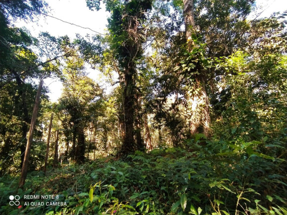 Imagem Chácara à Venda, 1.000 m² em Parque Novaro Itanhaém - Itanhaém