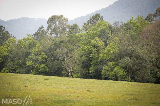 Imagem Chácara à Venda, 30.000 m² em Linha 28 - Gramado Imagem Chácara à Venda, 30.000 m² em Linha 28 - Gramado