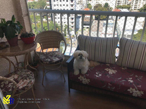 Imagem Apartamento com 3 Quartos à Venda, 123 m² em Vila Gomes Cardim - São Paulo