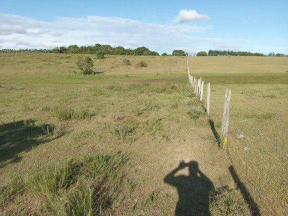 Imagem Chácara à Venda, 60.000 m² em Capão Da Porteira - Viamão