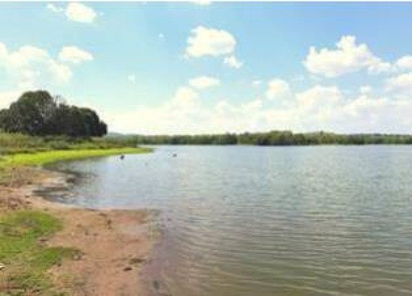 Imagem Fazenda à Venda, 1.357 m² em Jangada Imagem Fazenda à Venda, 1.357 m² em Jangada
