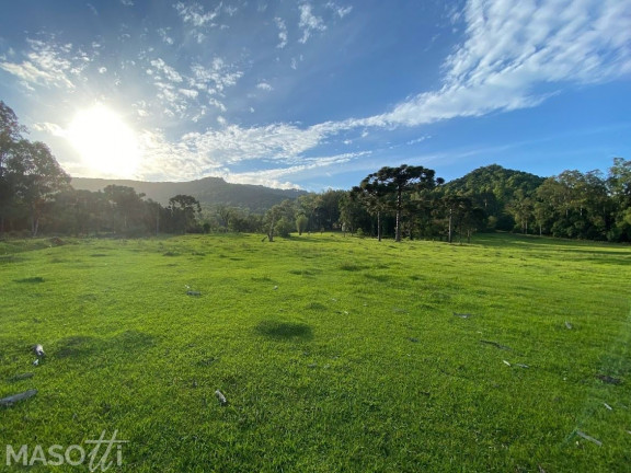 Imagem Chácara à Venda, 30.000 m² em Zona Rural - Gramado Imagem Chácara à Venda, 30.000 m² em Zona Rural - Gramado