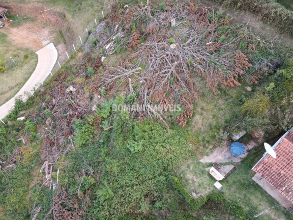 Imagem Terreno à Venda, 1.110 m² em Região De Descansópolis - Campos Do Jordão Imagem Terreno à Venda, 1.110 m² em Região De Descansópolis - Campos Do Jordão