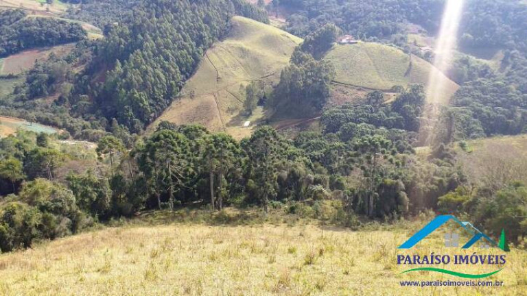 Imagem Terreno à Venda, 113.740 m² em Centro - Gonçalves