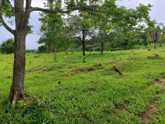 Imagem Chácara à Venda, 4 m² em Zona Rural - Anicuns Imagem Chácara à Venda, 4 m² em Zona Rural - Anicuns