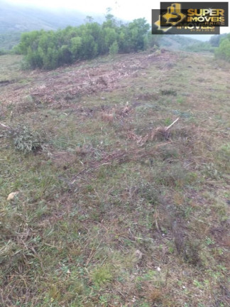Imagem Imóvel com 2 Quartos à Venda, 4.140.000 m² em Centro - Piratini