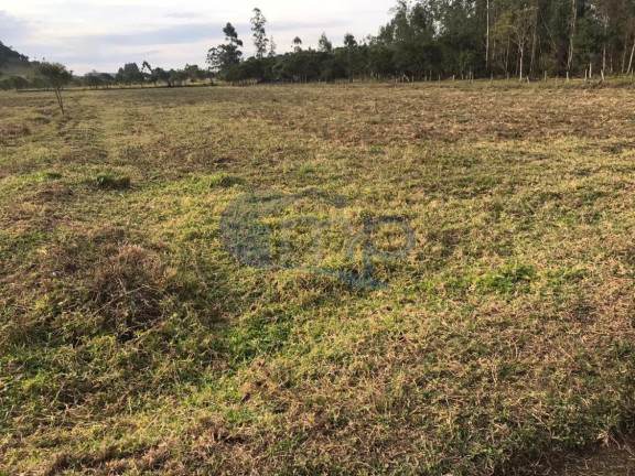 Imagem Fazenda à Venda, 120.000 m² em Jacaré - Torres