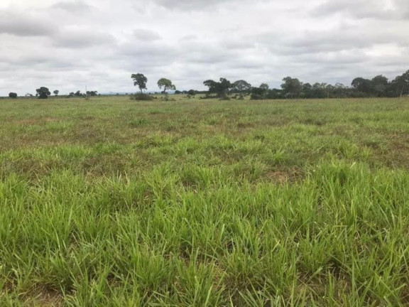 Imagem Fazenda à Venda, 26.270.000 m² em Zona Rural - Cáceres Imagem Fazenda à Venda, 26.270.000 m² em Zona Rural - Cáceres