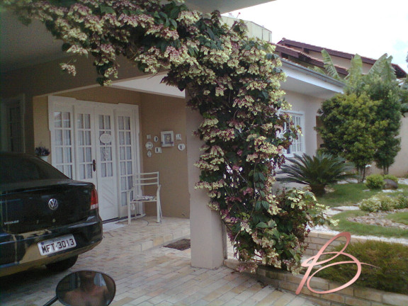 Imagem Casa com 4 Quartos à Venda, 450 m² em Dom Bosco - Itajaí