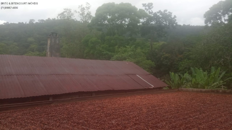 Imagem Imóvel com 3 Quartos à Venda, 600 m² em área Rural - São José Da Vitória