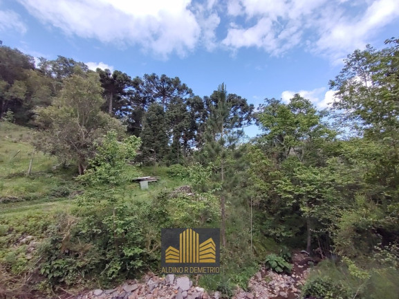 Imagem Fazenda à Venda, 5.000 m² em Linha 40 - Caxias Do Sul Imagem Fazenda à Venda, 5.000 m² em Linha 40 - Caxias Do Sul
