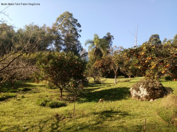 Imagem Casa com 3 Quartos à Venda, 296 m² em Vale Verde - Nova Petrópolis Imagem Casa com 3 Quartos à Venda, 296 m² em Vale Verde - Nova Petrópolis