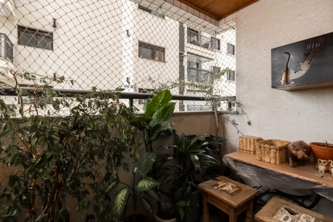 Imagem Apartamento com 3 Quartos à Venda, 74 m² em Chácara Inglesa - São Paulo Imagem Apartamento com 3 Quartos à Venda, 74 m² em Chácara Inglesa - São Paulo