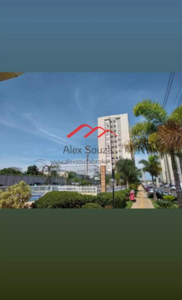 Imagem Apartamento com 2 Quartos à Venda, 50 m² em Jardim Maria Luíza - Sumaré Imagem Apartamento com 2 Quartos à Venda, 50 m² em Jardim Maria Luíza - Sumaré