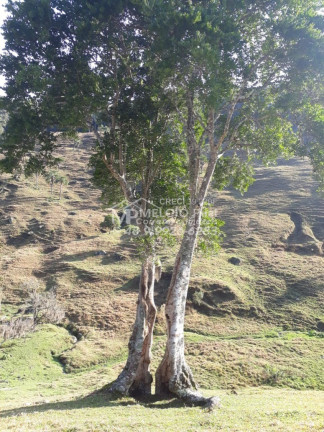 Imagem Imóvel à Venda,  em Bairra Clara, Major Gercino Sc - Major Gercino