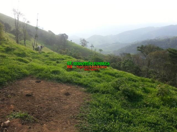 Imagem Chácara à Venda, 20.000 m² em São Francisco Xavier - São José Dos Campos Imagem Chácara à Venda, 20.000 m² em São Francisco Xavier - São José Dos Campos