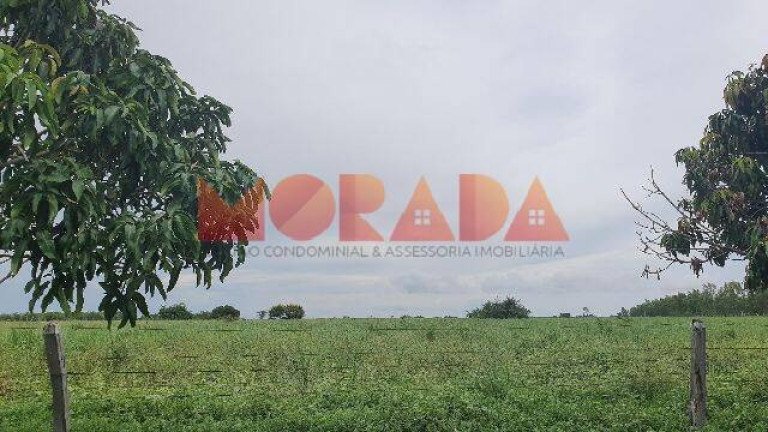 Imagem Fazenda à Venda, 2.700 m² em Zona Rural - Morpará Imagem Fazenda à Venda, 2.700 m² em Zona Rural - Morpará