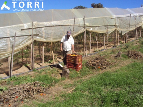 Imagem Imóvel com 4 Quartos à Venda, 11 m² em Monjolada - Guapiara Imagem Imóvel com 4 Quartos à Venda, 11 m² em Monjolada - Guapiara