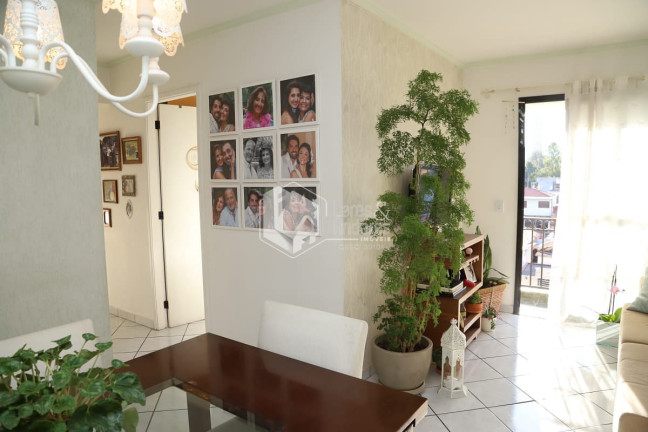 Imagem Apartamento com 3 Quartos à Venda, 69 m² em Jardim Santo Amaro - São Paulo Imagem Apartamento com 3 Quartos à Venda, 69 m² em Jardim Santo Amaro - São Paulo