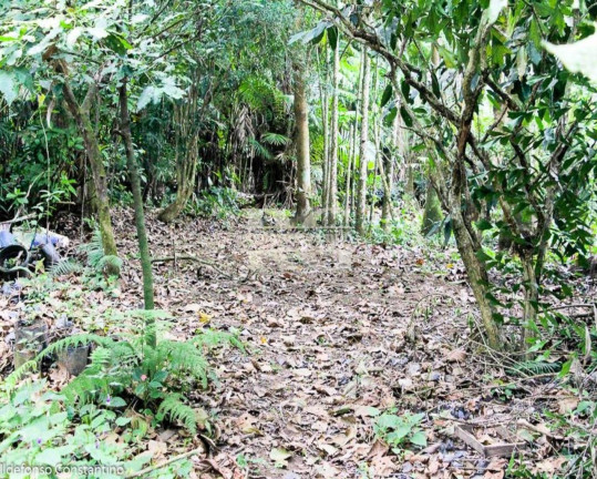 Imagem Terreno à Venda, 84.000 m² em Vargem Pequena - Rio De Janeiro