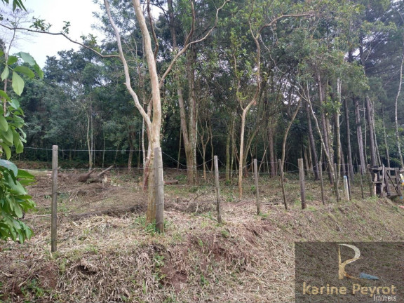Imagem Terreno à Venda, 300 m² em Campestre - São Leopoldo