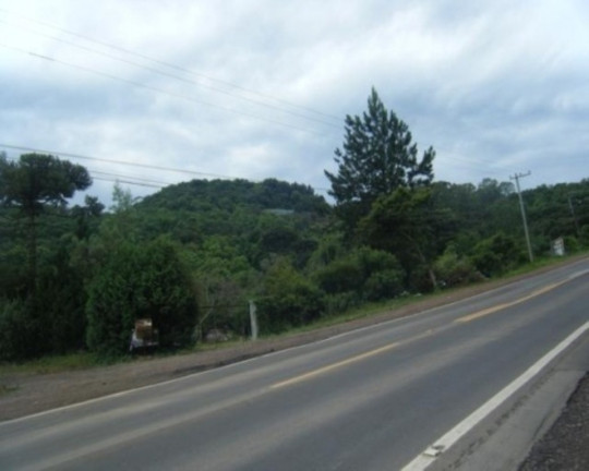 Imagem Terreno à Venda, 6.467 m² em Piá - Nova Petrópolis Imagem Terreno à Venda, 6.467 m² em Piá - Nova Petrópolis