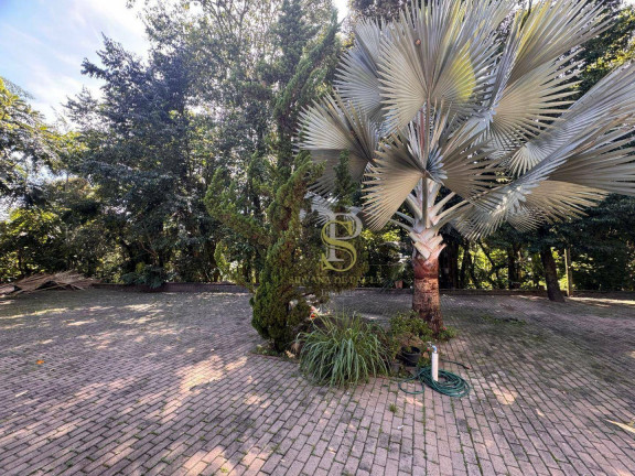 Imagem Casa com 3 Quartos à Venda, 300 m² em Serra Da Cantareira - Mairiporã Imagem Casa com 3 Quartos à Venda, 300 m² em Serra Da Cantareira - Mairiporã