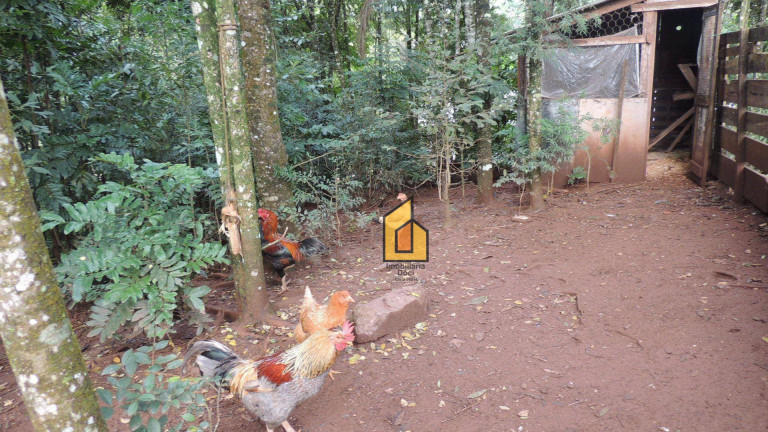 Imagem Chácara com 2 Quartos à Venda, 171 m² em Colônia Cristina - Araucária