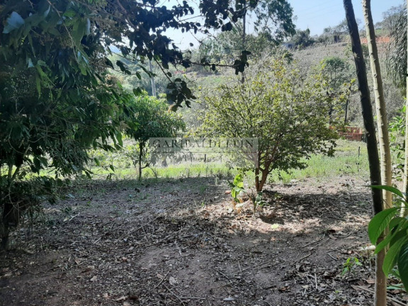 Imagem Imóvel com 2 Quartos à Venda, 150 m² em Uvalandia - Uvalandia Imagem Imóvel com 2 Quartos à Venda, 150 m² em Uvalandia - Uvalandia