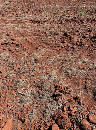 Imagem Imóvel à Venda, 270 m² em área Rural De Sete Barras - Sete Barras Imagem Imóvel à Venda, 270 m² em área Rural De Sete Barras - Sete Barras