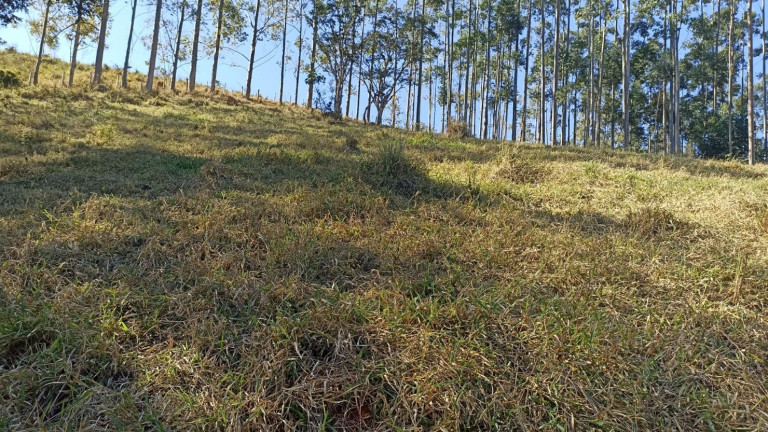 Imagem Chácara com 2 Quartos à Venda, 100 m² em Centro - Paraibuna