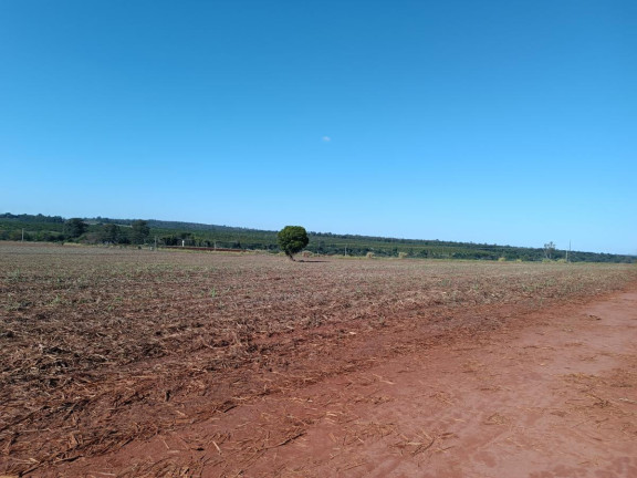 Imagem Chácara à Venda, 29 m² em Rural - Avaré