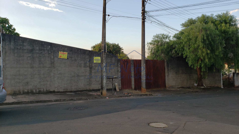 Imagem Terreno à Venda, 650 m² em Vila São Guido - Pirassununga