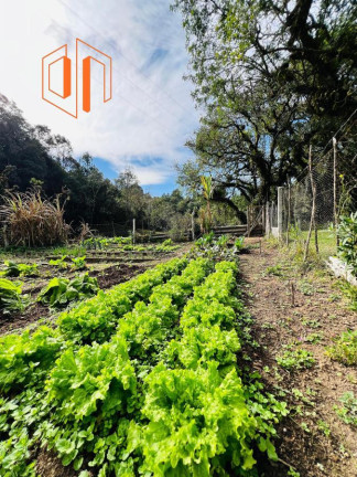 Imagem Imóvel à Venda, 10.000 m² em Contenda - São José Dos Pinhais Imagem Imóvel à Venda, 10.000 m² em Contenda - São José Dos Pinhais