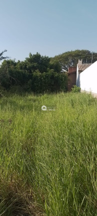 Imagem Terreno à Venda, 239 m² Imagem Terreno à Venda, 239 m²