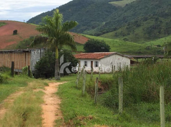 Imagem Fazenda à Venda, 400 m² em Jardim Prado - Santa Branca Imagem Fazenda à Venda, 400 m² em Jardim Prado - Santa Branca
