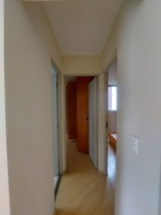 Imagem Apartamento com 2 Quartos à Venda, 53 m² em Jardim Celeste - São Paulo Imagem Apartamento com 2 Quartos à Venda, 53 m² em Jardim Celeste - São Paulo