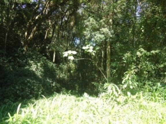 Terreno à Venda, 7 m² em Linha Imperial - Nova Petrópolis