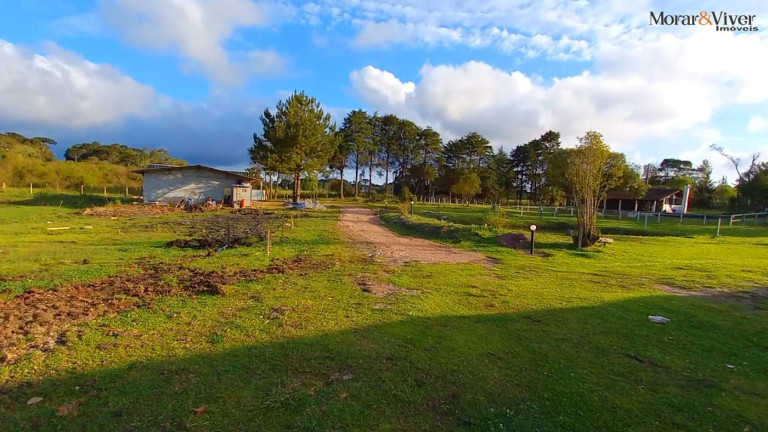 Imagem Chácara à Venda, 32.800 m² em Ambrósio - Tijucas Do Sul
