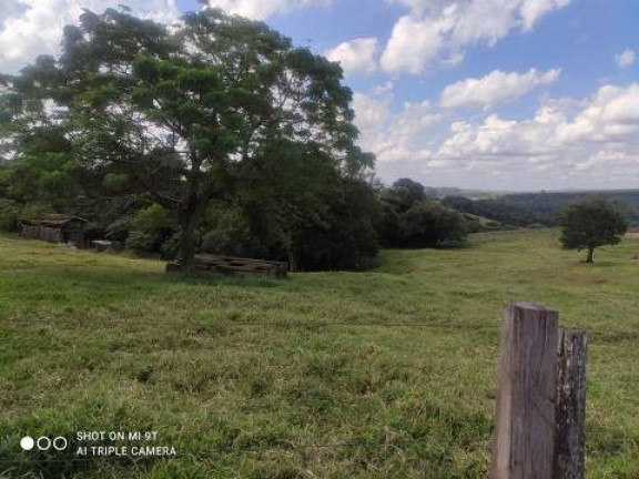Imagem Chácara com 4 Quartos à Venda, 2.000 m² em Alambari