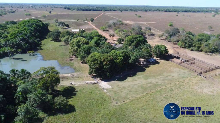 Imagem Fazenda à Venda, 988 m² em Zona Rural - Peixe Imagem Fazenda à Venda, 988 m² em Zona Rural - Peixe
